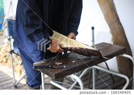 A man cutting harvested madake bamboo shoots A man cutting harvested madake bamboo shoots 106340405