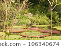 garden with big pond 106340674