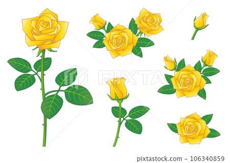 Yellow rose flower illustration set icon set Yellow rose flower illustration set icon set 106340859