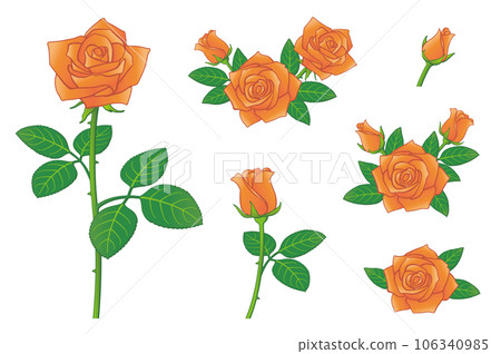 玫瑰花橙色插圖集圖標集 106340985