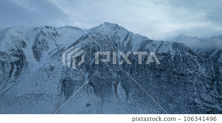 Aerial view of beautiful snowy forest in Tibet,China 106341496