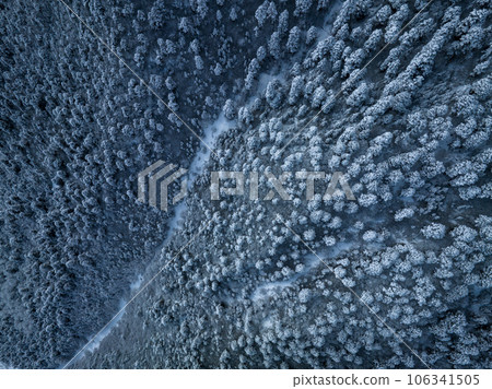 Aerial view of beautiful snowy forest in Tibet,China 106341505