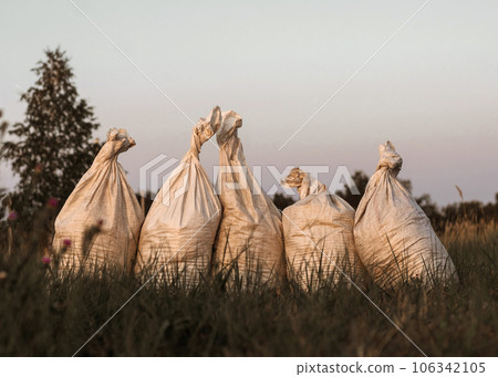 Stacked big bags, harvesting in farmland, rural landscape 106342105