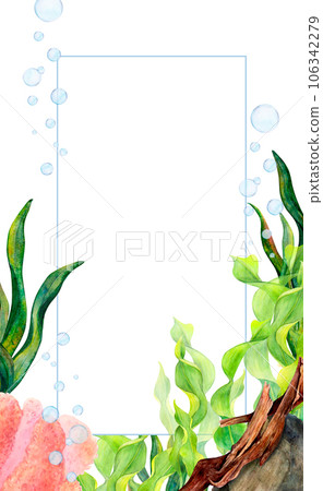 Watercolor drawing frame from ribbon algae, coral, air bubbles, stones, seaweed and light-blue line on white background. Light realistic illustration for photos, textile printings, postcards, posters Watercolor drawing frame from ribbon algae, coral, air bubbles, stones, seaweed and light-blue line on white background. Light realistic illustration for photos, textile printings, postcards, posters 106342279