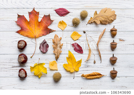 Autumn composition. Pattern made of dried leaves and other design accessories on table. Flat lay, top view Autumn composition. Pattern made of dried leaves and other design accessories on table. Flat lay, top view 106343690