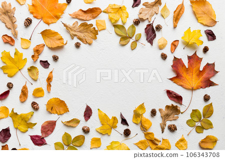 Autumn composition made of dried leaves, cones and acorns on table. Flat lay, top view, copy space 106343708