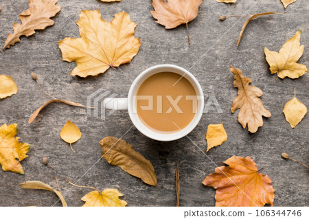 Cup of cocoa with autumn leaves abstract still life top view vith copy space 106344746