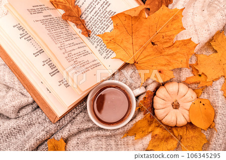 Autumn composition book, cup of coffee, pumpkin and leaves 106345295
