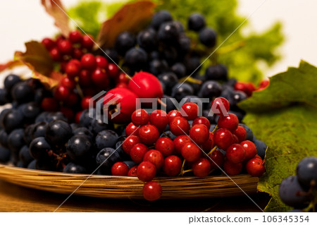 Autumn composition of blue grapes and viburnum on a plate Autumn composition of blue grapes and viburnum on a plate 106345354