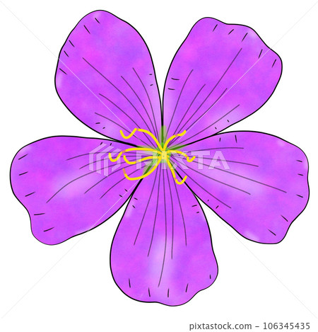 purple flowers with leaves isolated on white purple flowers with leaves isolated on white 106345435