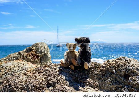 夏天海灘上的古董泰迪熊 5 夏天海灘上的古董泰迪熊 5 106345858