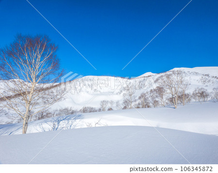 被新雪覆蓋的山脈和田野（北海道新雪谷五色溫泉地區） 106345872