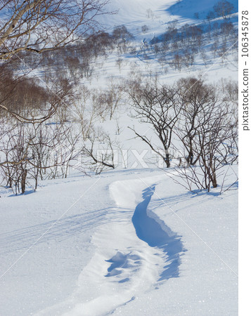 A half-buried ski track left in the snow (Hokkaido, Niseko Annupuri North Slope Foot) 106345878