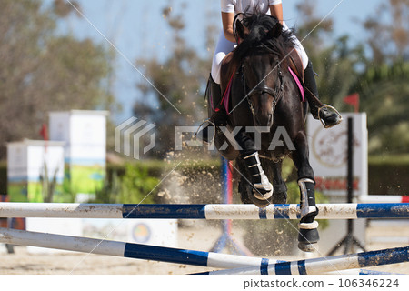 Jockey on her horse leaping over a hurdle, jumping over hurdle on competition Jockey on her horse leaping over a hurdle, jumping over hurdle on competition 106346224