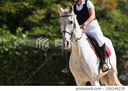 Kid ride horse. Horseback riding lesson for young jockey in equestrian school or club.Healthy outdoor fun with horses. Pet animal on farm Kid ride horse. Horseback riding lesson for young jockey in equestrian school or club.Healthy outdoor fun with horses. Pet animal on farm 106346226