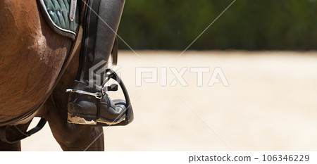 Rear view of a rider sitting in the saddle on a bay horse. Equestrian sports and ammunition. Stirrups. Horse riding Rear view of a rider sitting in the saddle on a bay horse. Equestrian sports and ammunition. Stirrups. Horse riding 106346229
