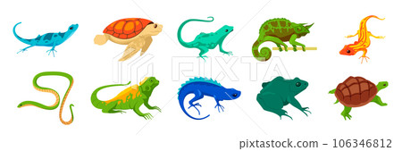 Cartoon reptiles. Exotic wild and domestic animals, crocodile iguana turtle alligator gecko snake frog salamander. Vector isolated set Cartoon reptiles. Exotic wild and domestic animals, crocodile iguana turtle alligator gecko snake frog salamander. Vector isolated set 106346812