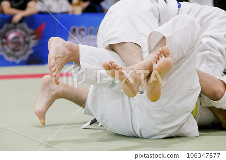 Brazilian jiu-jitsu Brazilian jiu-jitsu 106347877