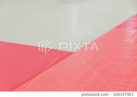 Brazilian jiu-jitsu 106347901