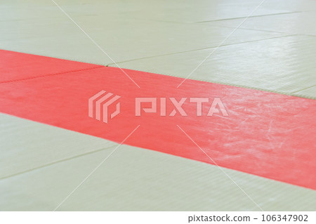 Brazilian jiu-jitsu 106347902