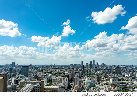 [東京] 從摩天大樓看到的都市風景 106349534