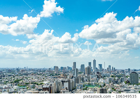 [東京] 從摩天大樓看到的都市風景 106349535