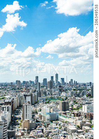 [東京] 從摩天大樓看到的都市風景 106349538