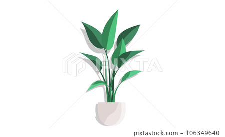 House and home plant. Vector illustration. A houseplant can transform any room decoration gardening project When it comes to room decoration gardening, placement plants in decorative containers House and home plant. Vector illustration. A houseplant can transform any room decoration gardening project When it comes to room decoration gardening, placement plants in decorative containers 106349640