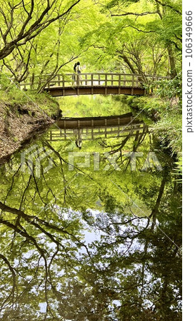 金鱗湖湖畔 金鱗湖湖畔 106349666