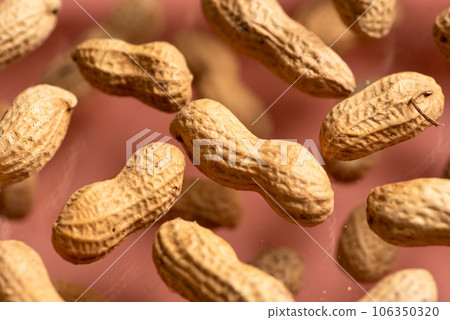 Peanuts in the shell. 106350320
