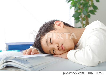 懶惰學習的男孩（小學生） 106350756