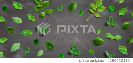 Green leaf frame design background Green leaf frame design background 106352183