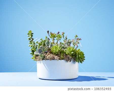 Pot with Small Plants Creating a Serene Green Corner, Indoor Ambiance - Embrace the essence of nature as a charming pot hosts a collection of small plants. Pot with Small Plants Creating a Serene Green Corner, Indoor Ambiance - Embrace the essence of nature as a charming pot hosts a collection of small plants. 106352493