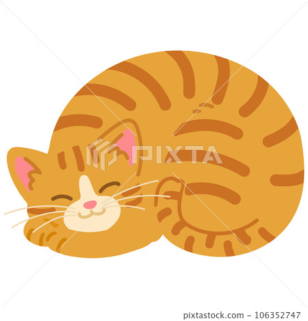 一隻簡單可愛的棕色虎斑貓微笑著蜷縮著睡覺的插圖沒有主線 106352747