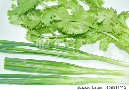 fresh parsley and spring onion with drop of water on plate 106353020