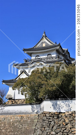 岸和田城天守閣（大阪府岸和田市） 106353046
