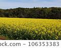 Landscape with rape field 106353383