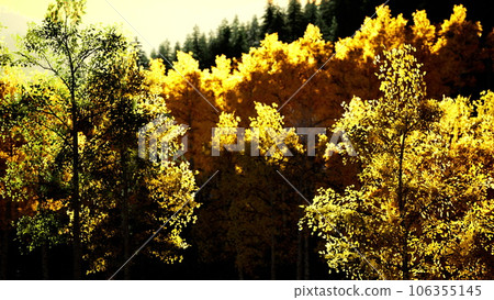 bright sunset in the mountains 106355145