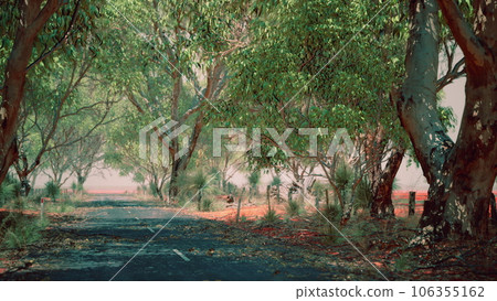 open road in Australia with bush trees open road in Australia with bush trees 106355162