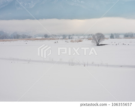 晨霧繚繞的千曲川雪原 106355657