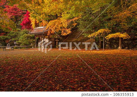 金藏寺 秋天 京都 西山 金藏寺 秋天 京都 西山 106355913