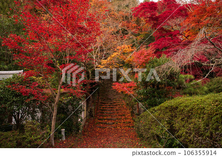 Konzoji Autumn Kyoto Nishiyama 106355914