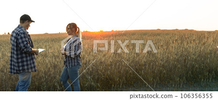 Banner. Agriculture. Two farmers are talking at sunset against the backdrop of a wheat field. Copy space. A couple of farmers are discussing selling grain after the harvest. 106356355
