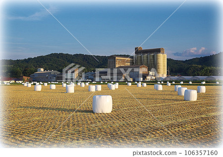 Scenery of a large field with many straw rolls wrapped in white covers (illustration style) 106357160
