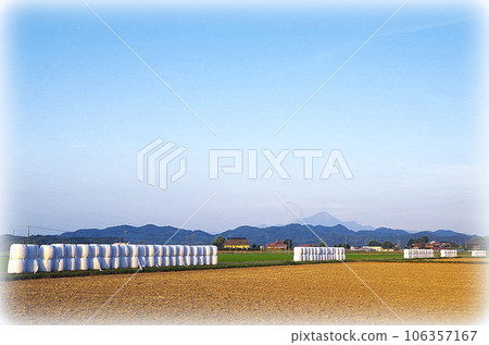 Scenery of a large field with many straw rolls wrapped in white covers (illustration style) Scenery of a large field with many straw rolls wrapped in white covers (illustration style) 106357167