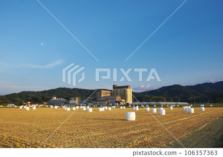 Scenery of a large field with many straw rolls wrapped in a white cover Scenery of a large field with many straw rolls wrapped in a white cover 106357363