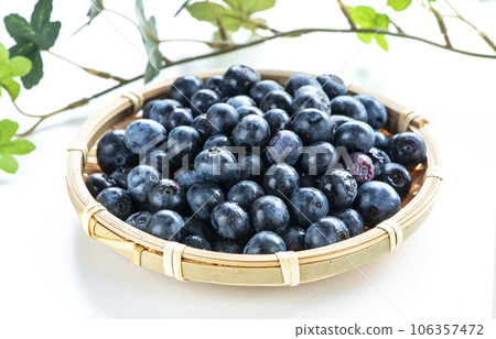 Harvested blueberries 106357472