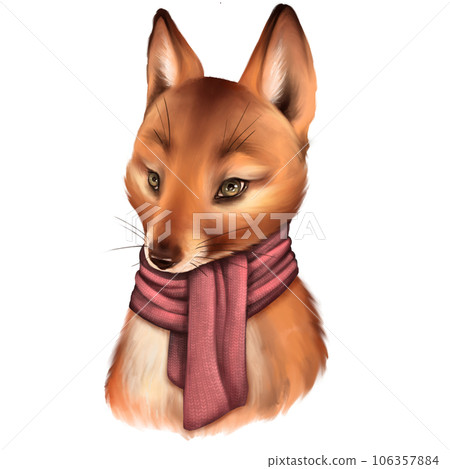 Cute fox in scarf, isolated on white background 106357884