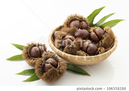 我想把它放進一個深過濾器裡,但是chestnut_background是白色的 我想把它放進一個深過濾器裡,但是chestnut_background是白色的 106358288
