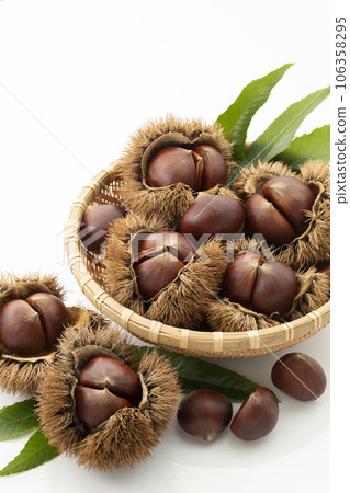 我想把它放進一個深過濾器裡，但是chestnut_background是白色的 106358295